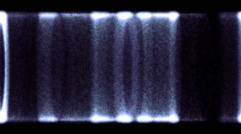 Exotic Shield 库存影片 52005226