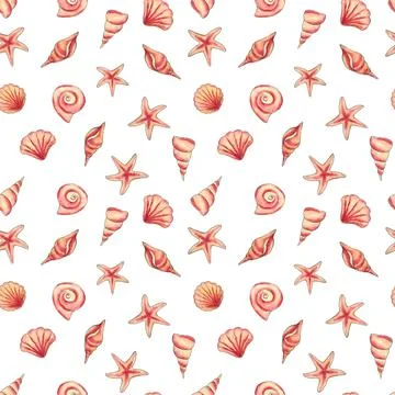 Exotic small seashells on a white background. Seamless pattern. 스톡 일러스트