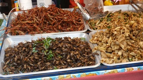 Exotic Snack of Insects Видео 107192757