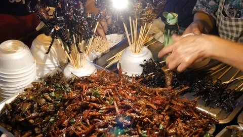 Exotic Snack of Scorpions/Worms/Insects Stock-Footage 107607079