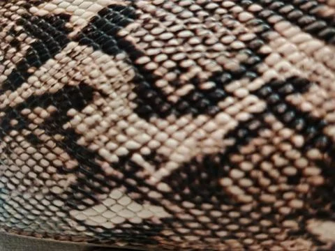 Exotic snakeskin pattern leather texture macro background Stock Photos