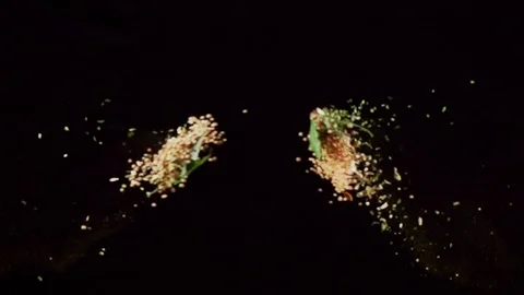 Exotic Spices  collide on black background closeup in super slow motion Stock Footage 117212181