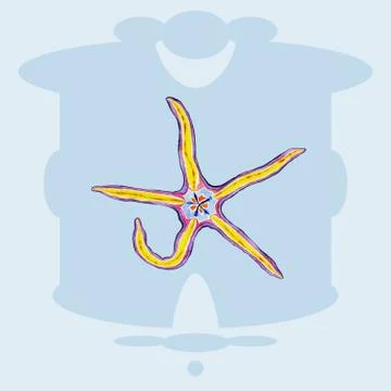 Exotic striped starfish. Stock Illustration