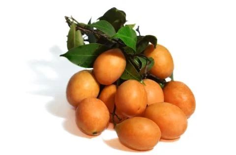 Exotic thai fruit. maprang, marian plum, gandaria, marian mango, plum mango Stock Photos