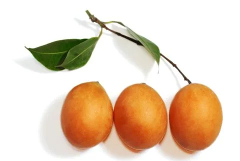 Exotic thai fruit. maprang, marian plum, gandaria, marian mango, plum mango Stock Photos