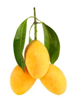 Exotic thai fruit. maprang, marian plum, gandaria, marian mango, plum mango. Stock Photos