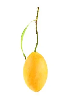 Exotic thai fruit. maprang, marian plum, gandaria, marian mango, plum mango. Stock Photos