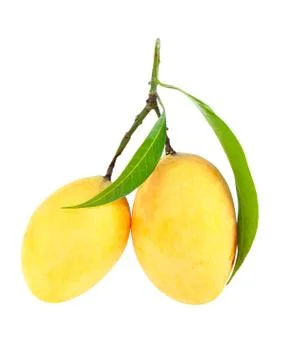 Exotic thai fruit. maprang, marian plum, gandaria, marian mango, plum mango. Stock Photos