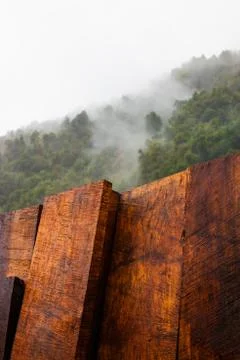 Exotic timber Foto stock