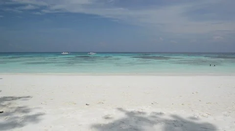 Exotic tropical beach Stock Footage 45029117