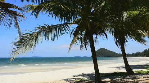 Exotic tropical beach Stockbeeldmateriaal 56637694