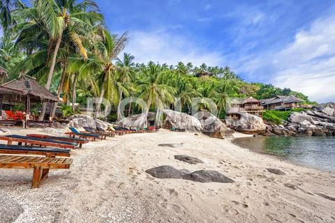 Exotic tropical beach. Stock Photos