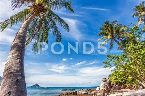 Exotic tropical beach. Stock Photos