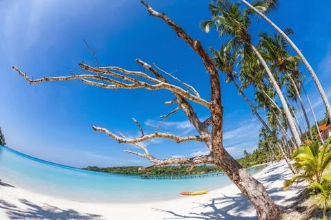 Exotic tropical beach. Stock Photos