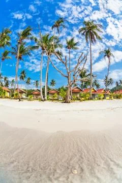 Exotic tropical beach. Stock Photos