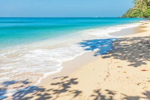 Exotic tropical beach. Stock Photos