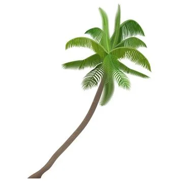 Exotic tropical Coco nut vector high detailed palm tree isolated. Ilustración de archivo