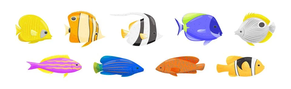 Exotic Tropical Fish of Different Shapes and Colors Vector Set Illustrazione stock