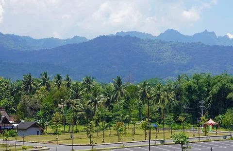  exotic tropical landscape on java island Fotos de archivo