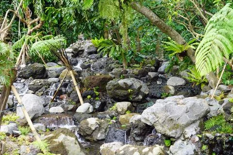  exotic tropical landscape on java island 写真素材