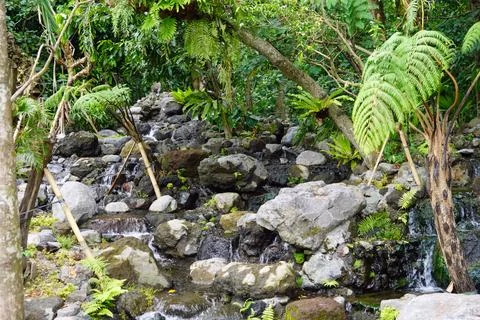  exotic tropical landscape on java island Foto stock