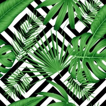 Exotic vector seamless pattern with tropical leaves on a geometric background Stock Illustration