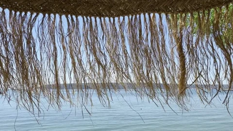 Exotic view through a cape umbrella to the sea Stock-Footage 312496029