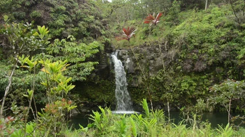 Exotic waterfall Stock Footage 22471322