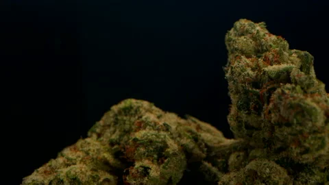 Exotic Weed, Rotating Macro Product Shot Of High Quality Weed, Trichomes Stock Footage 218460267