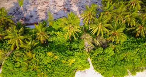Exotic white beach lined with mango trees and palms surrounded by emerald Stock Footage 118583555