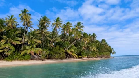 Exotic white sand beach, coconut palm trees, turquoise ocean water fast moving Vidéo 345052549