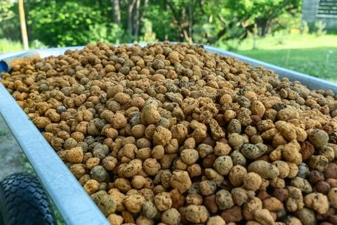 Expanded clay aggregate texture background for construction and gardening p.. Stock Photos