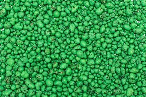 Expanded clay pebbles used as a growing media in hydroponics. Stock Photos