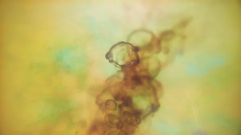 Expanded color ink Stock Footage 75395789