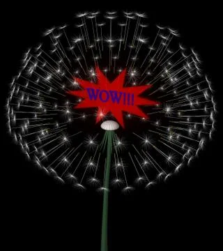 Expanding dandelion Stock Illustration