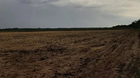 Expanse atmosphere Stock Footage 316805546