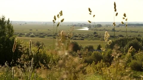 An expanse of field Stock Footage 52816444