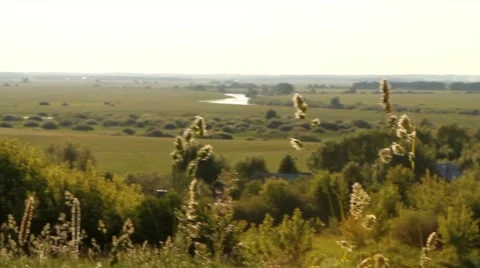 An expanse of field panorama Stock Footage 52816431