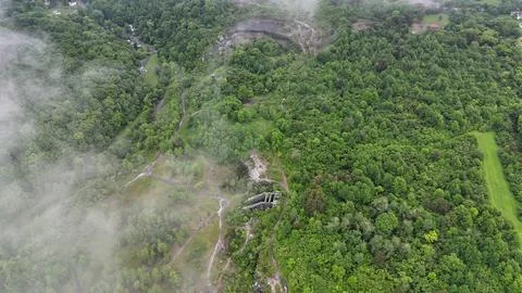 Expanse of Forest - Split Rock Quarry - Syracuse, NY Stock-Fotos