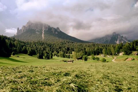 Expanse of grass on the mountains at sunset  Stock Photos