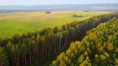 The expanses of fields and taiga at sunset russia siberia Video stock 134002291