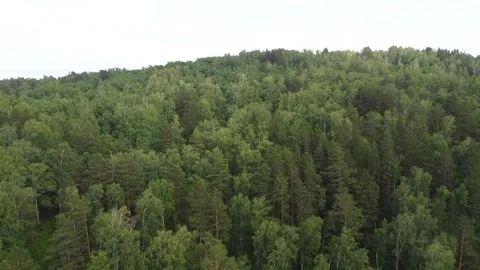 The expanses of fields and taiga at sunset russia siberia Video stock 134002355