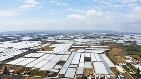Expanses of fields with greenhouses Stock Footage 242418387