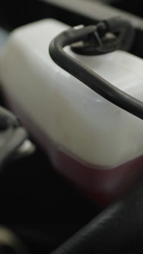 Expansion tank of the car cooling system with pink coolant Stock Footage 336711250