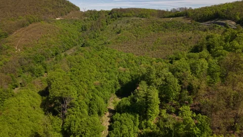 An expansive aerial view captures rolling green hills blanketed by a dense Vídeos de archivo 334137113