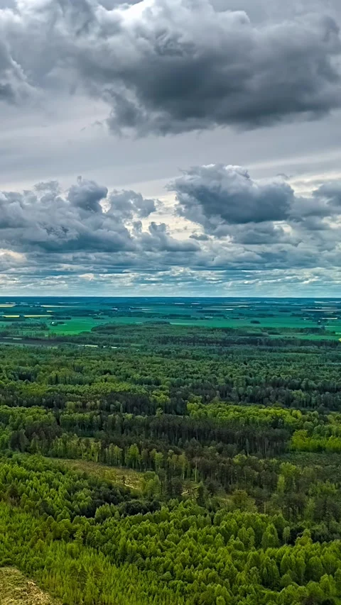Expansive Aerial View of Green Fields Under a Cloudy Sky in Vertical Timelapse 動画素材 334092703