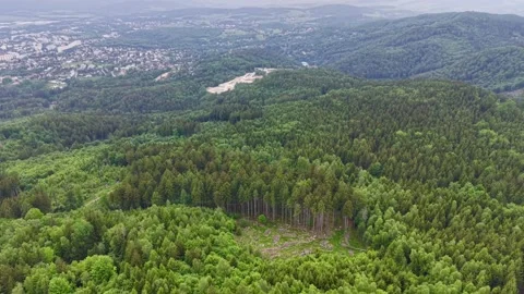 Expansive aerial view of mixed forest canopy with distant ridge clearing, rocky Stock Footage 342359286