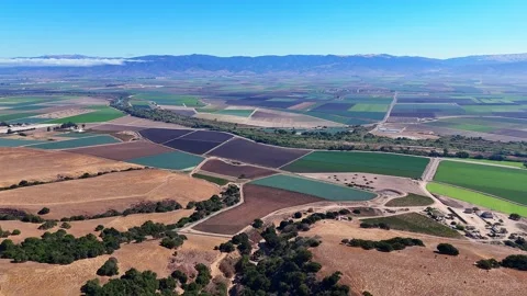 Expansive Aerial View of Patchwork Agricultural Fields in Salinas Valley Stock Footage 317756314