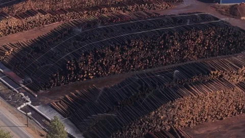 Expansive Aerial View of Stacked Timber Logs in California Sawmill Yard Stock Footage 295941609