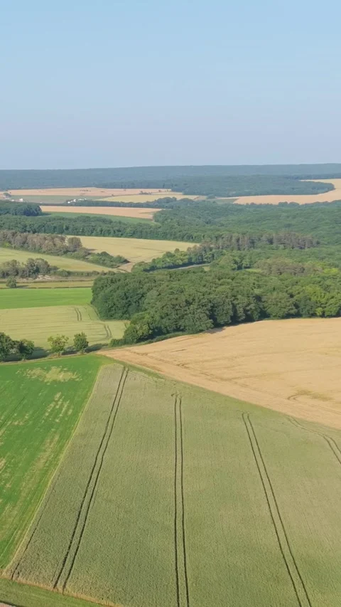 Expansive agricultural fields and lush green countryside near Cuncy les Varzy Stock Footage 346663770